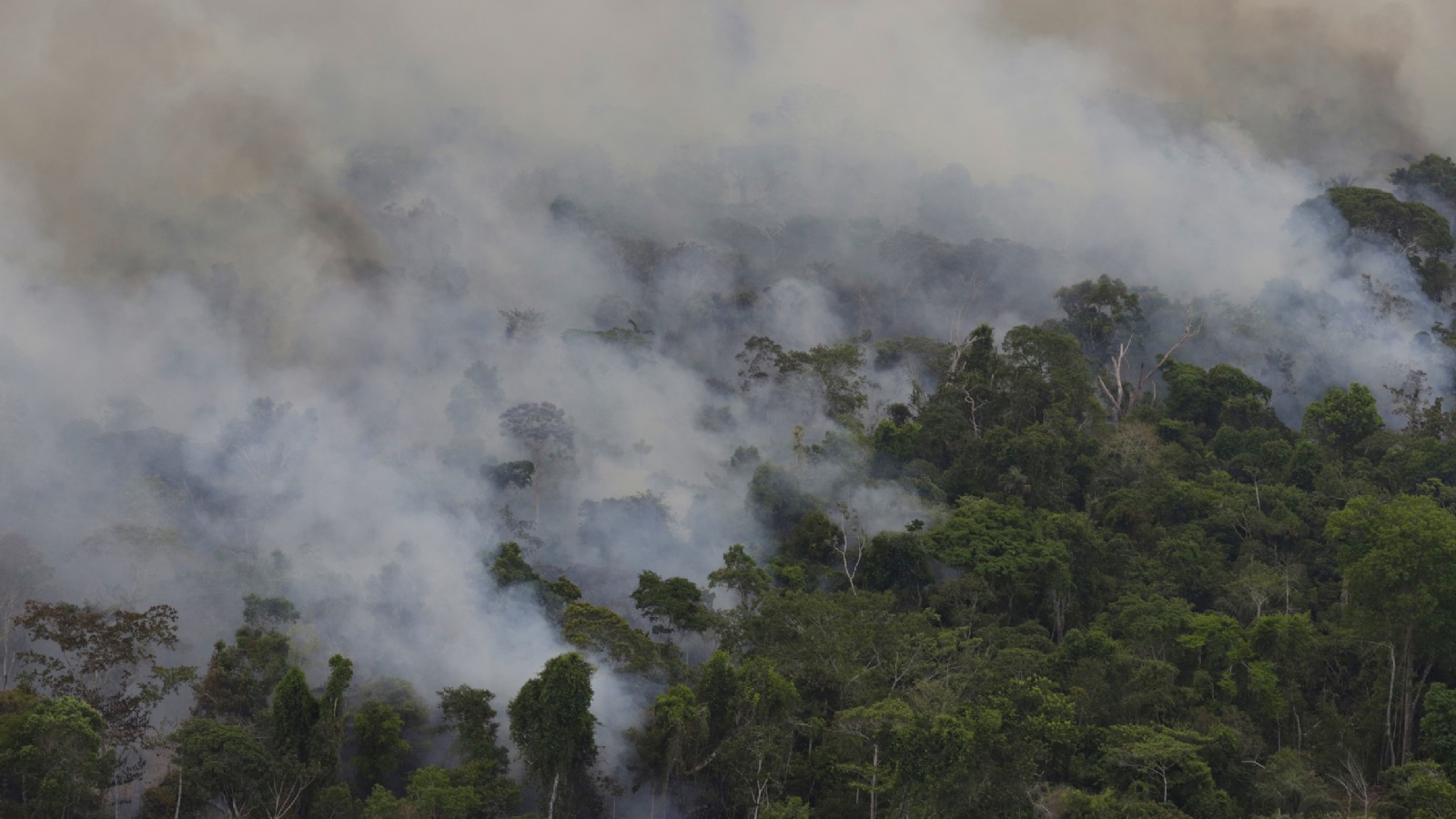 Amazonas: el fuego sigue avanzando sobre bosques protegidos